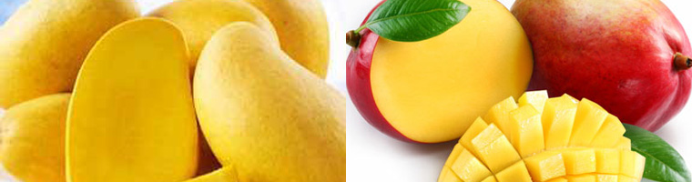 Mango Petacón 